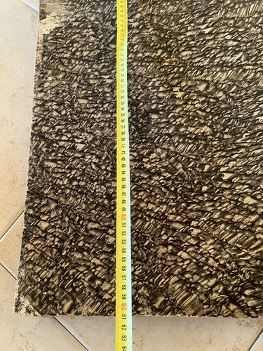 🔴 VOCE ADRIATICA giornali raccolta da Gennaio ad Aprile 1964 in libro completi