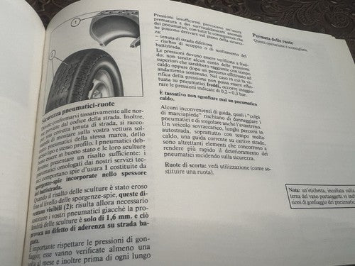 Renault Exace Broschüre zur Fahrzeugnutzung und -wartung in italienischer Originalfassung 