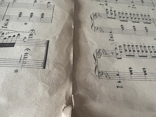 🔴 Das Gebet der Jungfrau Maria, musikalischer Auftritt, Thecla Badarzewska, Mailand, Anfang des 20. Jahrhunderts 