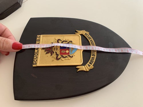 🔴 CREST MILITARE scudo legno Stato Maggiore Difesa Scuola NBC