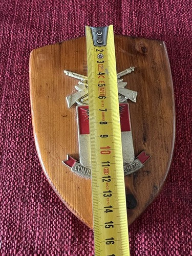 🔴 Crest BATTAGLIONE LOGISTICO ACQUI scudo legno CON IL LAVORO ALLA META vintage