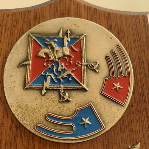 🔴 Militärwappen Holzschild C.do und Transmissions Vittorio Veneto 