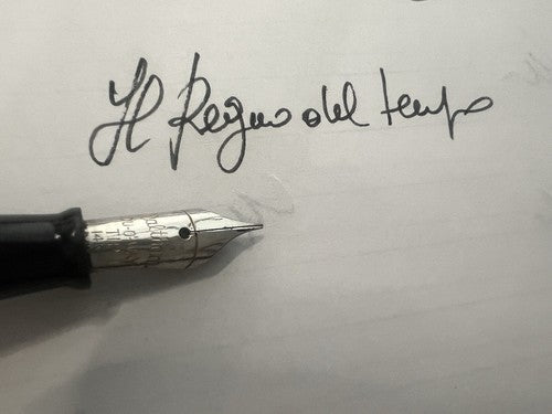 Waltham Stylo-Plume Stylo à Plume Celluloid A Levier Écrit Vintage Du 1930 