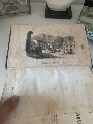 🔴 books volumes I PALLESCHI E PIAGNONI De Lapi D'Azeglio Florence antique 1841 