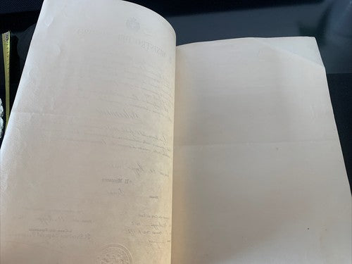 Certificat D'Honneur Comptable D'État Vittorio Emanuele Ministère Trésor 1913