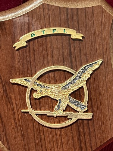 🔴 Crest CORPI SPECIALI scudi di metallo e legno lucidati LOTTO 3 PEZZI h 15 cm