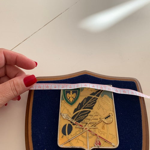 🔴 CREST MILITARE Rep. Comando E Trasmissioni Giulia scudo legno