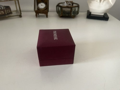 🔴 PROMESSE scatola gioiello orecchini, pendente, charms bordeaux rigido