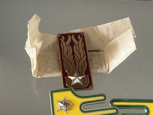 🔴 Alamari ESERCITO ITALIANO MILITARI metallo e smalti mostrine 13 PEZZI vintage