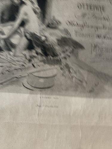 Regno Italie Vittorio Emanuele III Tir Signe Torino Concorso Officiels 1907