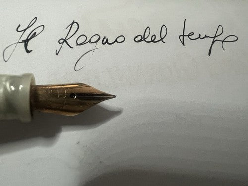 🔴 STILNOVA penna stilografica effetto madreperla pennino ORO 14 scrive vintage