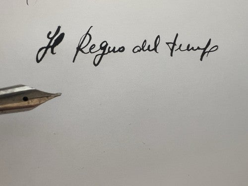 Waterson Stylo-Plume Stylo à Plume Celluloid Vert à Levier Marche Et Écrit Cru