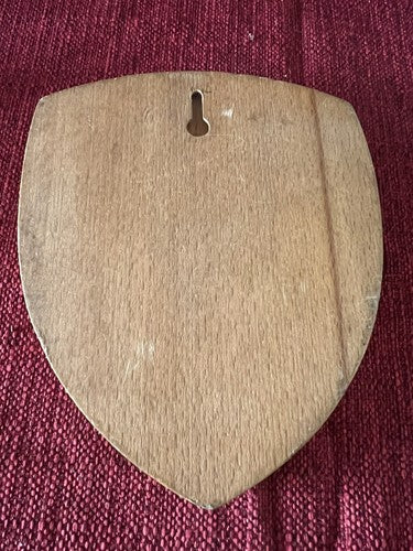 🔴 Crest 131 REGGIMENTO ARTIGLIERIA CORAZZATA ARIETE scudo legno metallo