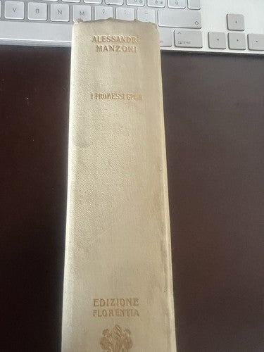 🔴 Manzonis Buch DIE VERLOBTE (Salani-Kollektion), Hardcover-Leinwandeinband 