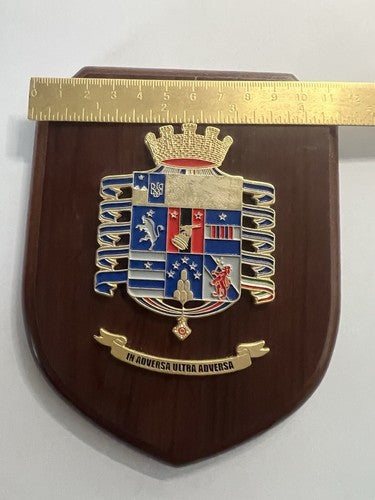 Wappen des 4. Regiments Alpini Fallschirmjäger, Schild aus Holz und Metall, lackiert, H 15