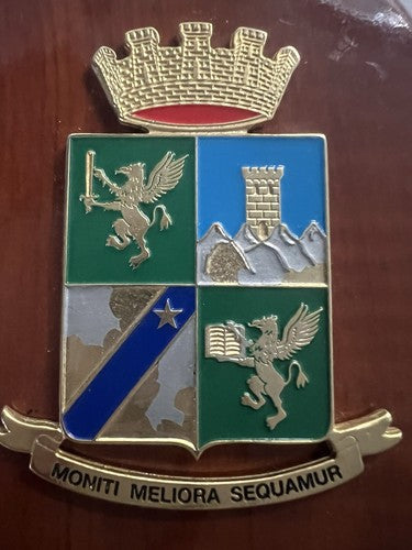 Crest Académie Garde De Finance Bouclier Bois Poli Métal Vernis Hauteur 15
