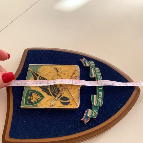 🔴 CREST MILITARE Rep. Comando E Trasmissioni Giulia scudo legno