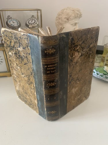 🔴 books volumes I PALLESCHI E PIAGNONI De Lapi D'Azeglio Florence antique 1841 