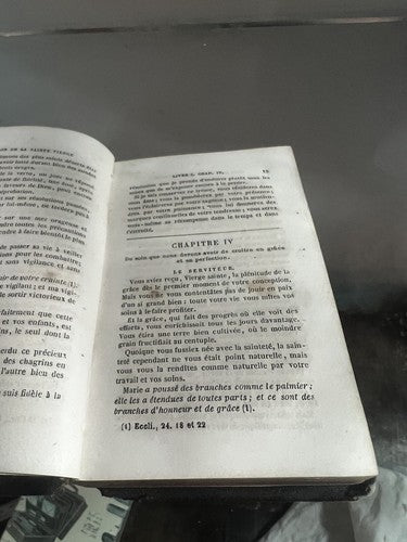 🔴 Book Madonna TRES-SAINTE VIERGE French ANTIQUE print from 1883 leather 