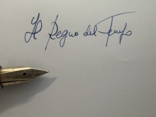 🔴 PARKER 75 fountain pen STERLING SILVER Sonnet ciselè GOLD nib XF