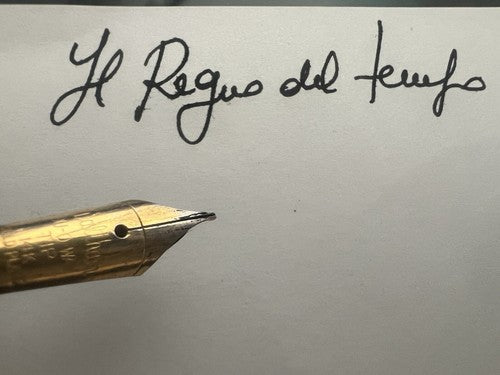 Waltham Stylo-Plume Stylo à Plume Celluloid Noire à Levier Écrit Vintage 1930