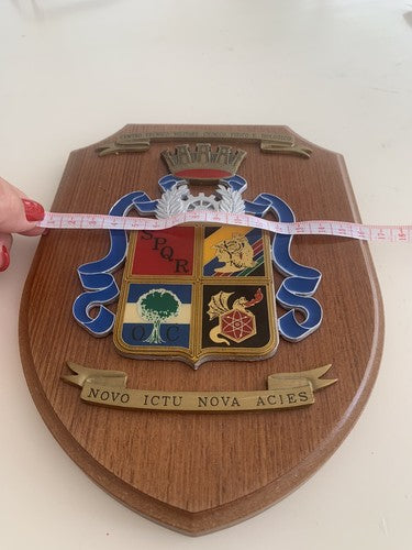 🔴 CREST MILITARE scudo Tecnico Militare Chimico Fisico Biologico Roma SPQR