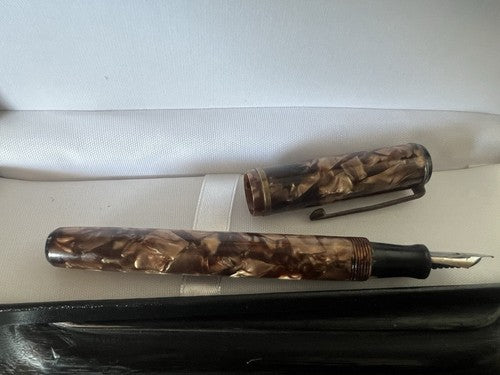 Penman Stylo-Plume Stylo à Plume Celluloid Hazel Levier Écrit Amérique Vintage