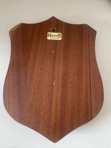 🔴 Wappen SAIS Holzschild JOHNS OPKINS INTERNATIONAL STUDIES Emaille-Anwendung 