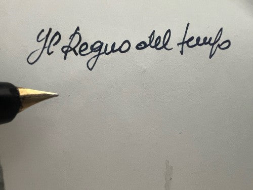 Aurora Stylo-Plume Stylo à Plume Duo Cart Cinzano Or Écrit Vintage Et