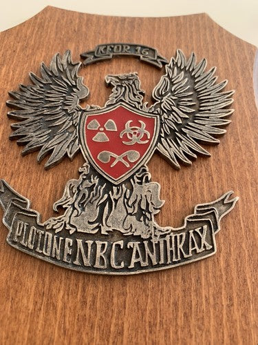 🔴 Militärwappen, Holzschild ABC-Zug Anthrax Kosovo Kfor 16 