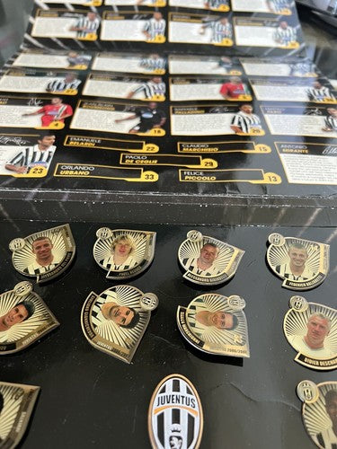 Juventus Brooches Official Notice Of Trophies 2006-2007 Journal Screen Sport