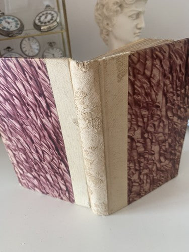 🔴 Book BRONZE GIRLS By Montepin Milan novel ERA 1906 