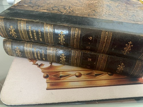 🔴 books volumes I PALLESCHI E PIAGNONI De Lapi D'Azeglio Florence antique 1841 
