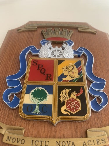 🔴 CREST MILITARE scudo Tecnico Militare Chimico Fisico Biologico Roma SPQR