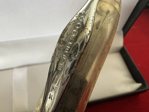 Noodlers Stylo-Plume Stylo à Plume Démonstrateur Transparent A Piston Écrit