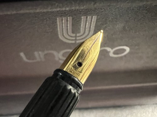 Ungaro Stylo-Plume Stylo à Plume Laque Vert Anglais A Cartouche Écrit Avec Box