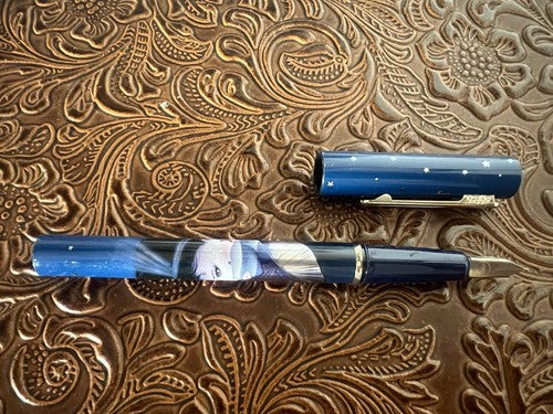 Stypen Stylo-Plume Stylo à Plume Français Sérigraphie Profil Femme Encre Écrit