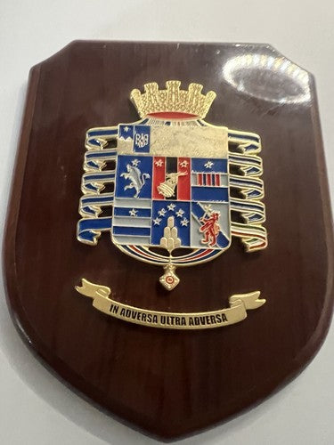 Wappen des 4. Regiments Alpini Fallschirmjäger, Schild aus Holz und Metall, lackiert, H 15