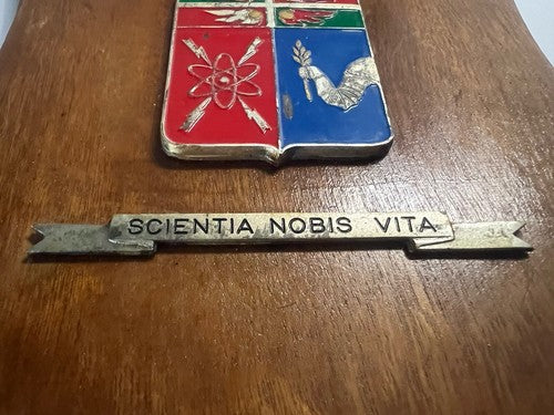 Crest École Artillerie Bouclier Bois Poli Avec Métal Vernis Hauteur 22