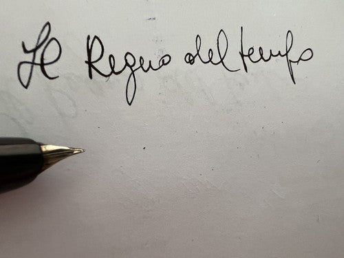 Aurora Pen Fountain Pen 88 Piston Pen Gold Marking Vintage 1548551