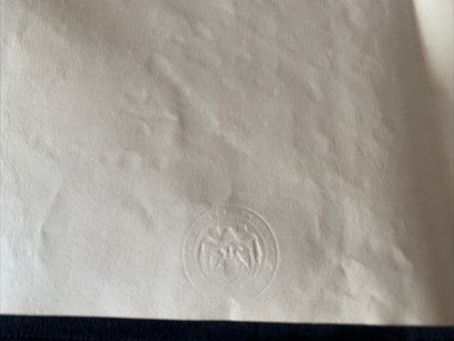 🔴 VITTORIO EMANUELE III, Titel FINANZRECHNER, Dekret des RECHNUNGSPRÜFERGERICHTS 1907 