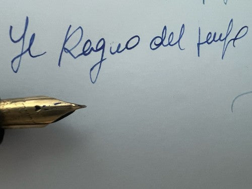 Tropicales Gold Stylo-Plume Stylo à Plume Noire À Piston Or Écrit Vintage