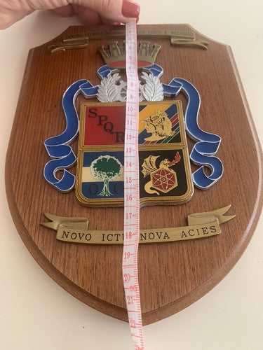 🔴 CREST MILITARE scudo Tecnico Militare Chimico Fisico Biologico Roma SPQR