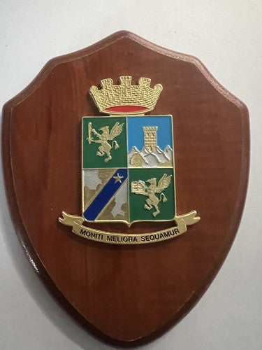 Crest Académie Garde De Finance Bouclier Bois Poli Métal Vernis Hauteur 15