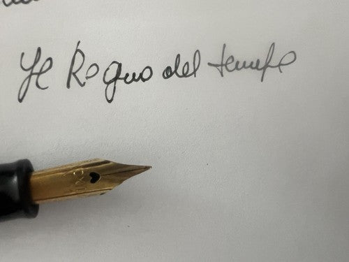 Omer Extra Stylo-Plume Stylo à Plume Celluloid Vert Marbré Écrit Vintage