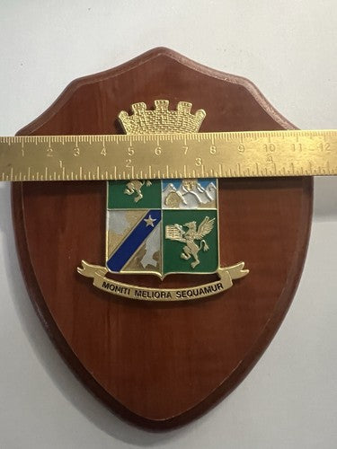 🔴 Wappen ACCADEMIA GUARDIA DI FINANZA Schild aus poliertem Holz, Metall, emailliert, H 15 