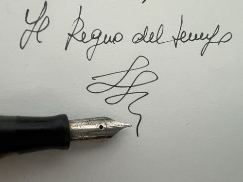 Penman Stylo-Plume Stylo à Plume Celluloid Hazel Levier Écrit Amérique Vintage
