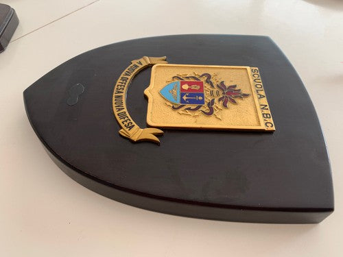 Crest Militaire Bouclier Bois État une Plus Grande Défense École NBC