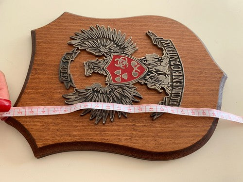 🔴 Militärwappen, Holzschild ABC-Zug Anthrax Kosovo Kfor 16 