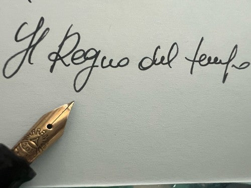 🔴 AURORA penna stilografica Novum celluloide verde leva pennino oro vintage '30